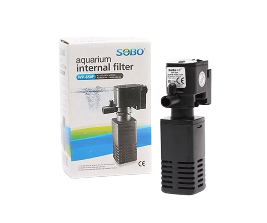 Sweet & Savoury Petite Set