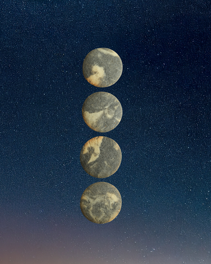 Mid-Autumn Moon Shortbreads